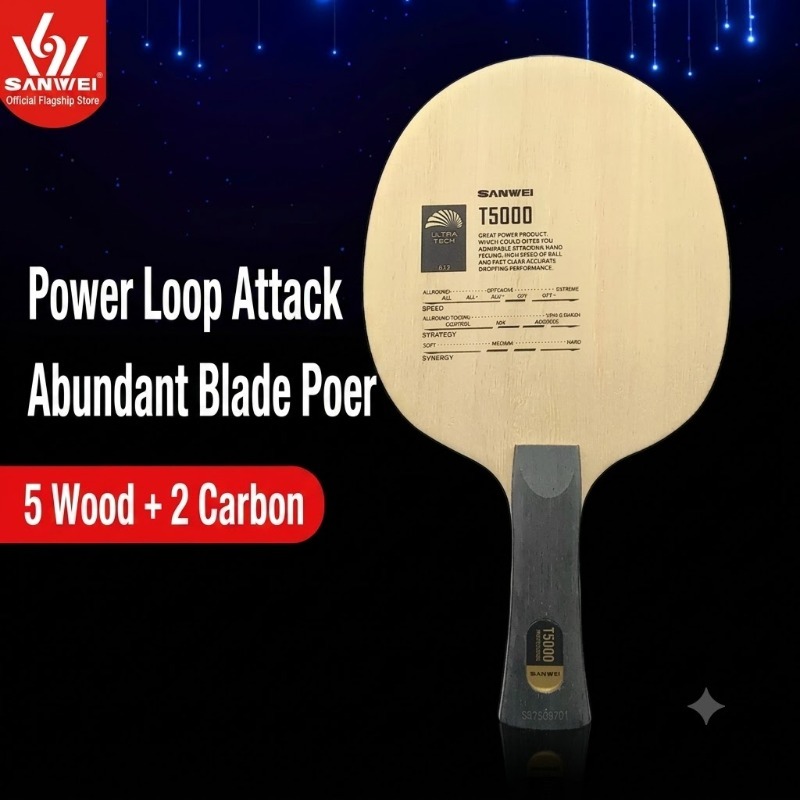 1 raquette de tennis de table  - Woodworking Table avis et prix